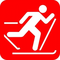 Открытые личные соревнования по лыжным гонкам среди обучающихся «Метелица - 2020»